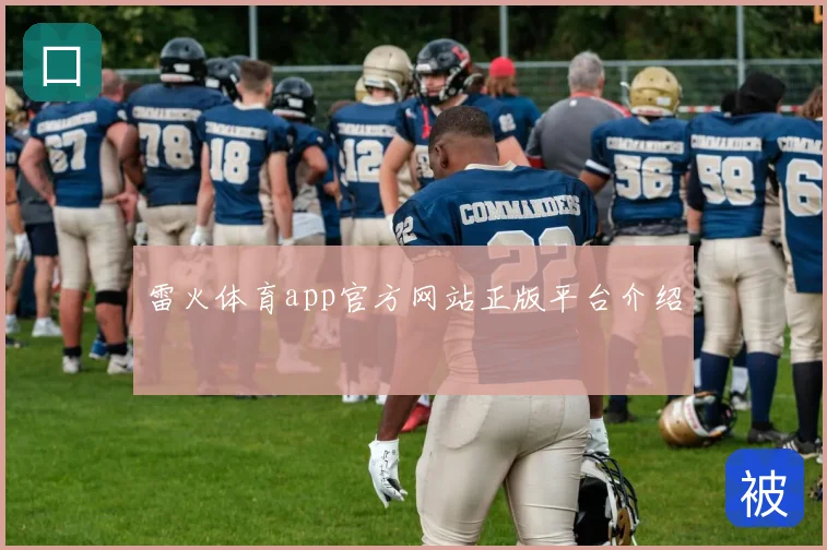 雷火体育app官方网站正版平台介绍